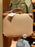 DLR - Grand Californian Hotel & Spa - Crossbody Mini Suitcase