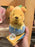 HKDL - Winnie the Pooh Lemon Honey Collection x Winnie the Pooh Shoulder Plush Toy