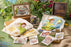 TDR - Fantasy Springs "Peter Pan Never Land Adventure" Collection x Post Cards Set