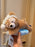 HKDL - 2026 Duffy's Sweet Dreams - Sleeping Duffy Plush Toy