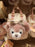 HKDL - 2026 Duffy and Friends Autumn Explorer Collection x ShellieMay Crossbody Bag