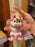 HKDL - 2026 Chip 'n' Dale Forest Fairies Collection x Chip Plush Keychain
