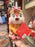 HKDL - 2026 Mickey & Friends Year of the Horse Chinese New Year Collection x Clarice with Unicorn Costume Plush Toy