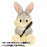 TDR - Thumper Plushy Shaped Posey Pencil Case & Keychain (Release Date: Nov 28, 2024)