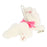 TDR - Marie Shoulder Plush Toy & Keychain (Release Date: May 28, 2026)