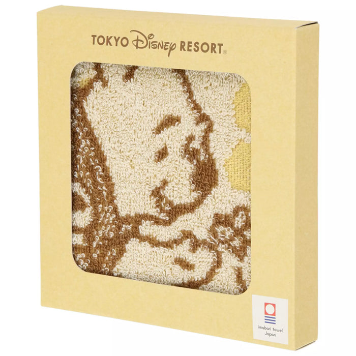 TDR - Winnie the Pooh Imabari Mini Towel Box Set