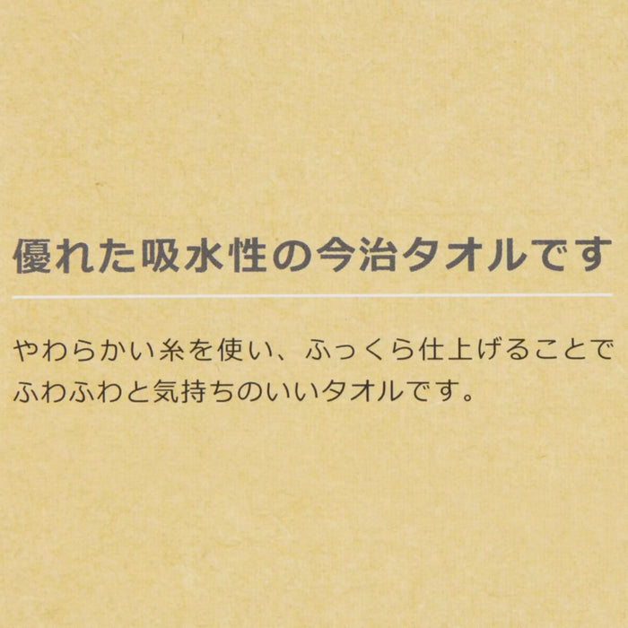 TDR - Winnie the Pooh Imabari Mini Towel Box Set