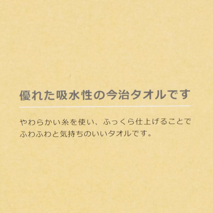 TDR - Winnie the Pooh Imabari Face Towel Box Set