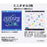 TDR - Playful Stitch 2026 x Stitch Mini Towel Set of 2 (Release Date: June 4, 2026)