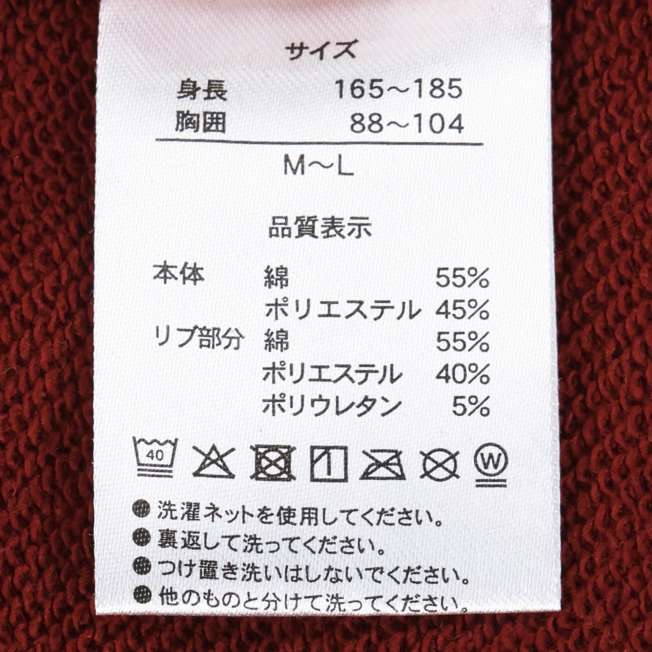 TDR - Minnie Mouse "Oversized" Sweatshirt for Adults (Release Date: Oct 2, 2025)