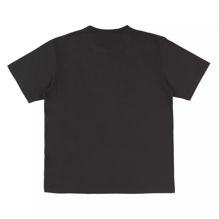 TDR - 2026 Disney Villians Evil Queen T Shirt for Adults (Release Date: Sep 3, 2026)