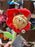 DLR/WDW - Beauty and the Beast 2026 - Beast Plush Flower