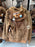 Universal Studios - Halloween 2026 - HamiKuma Fleece Hoodie Pullover (Adult)