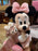 HKDL - 2026 Minnie & ShellieMay Plush Toy