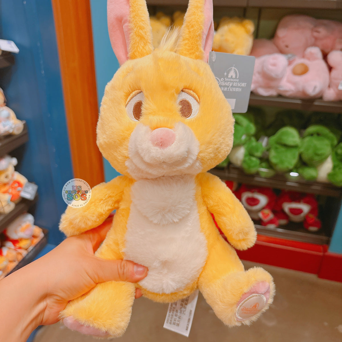 SHDL - Winnie the Pooh & Friends x Rabbit Plush Toy — USShoppingSOS