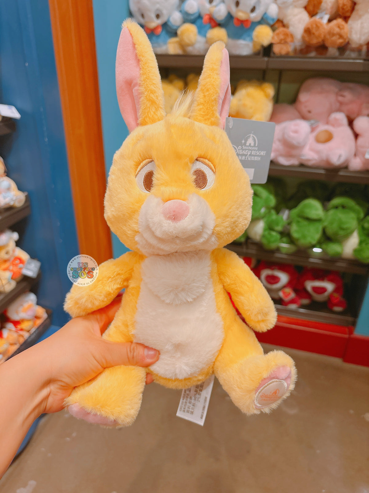 SHDL - Winnie the Pooh & Friends x Rabbit Plush Toy — USShoppingSOS