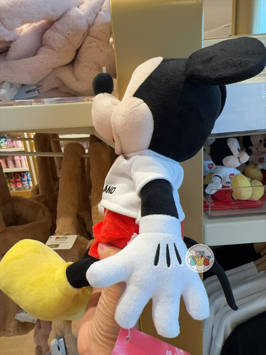 HKDL - Love Hong Kong Disneyland 2026 - Mickey Plush Toy