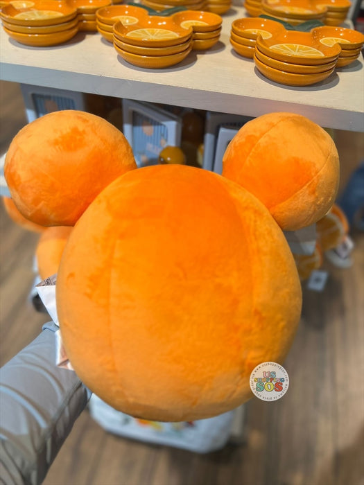 DLR/WDW - Mickey & Minnie's Fruit Stand 2026 - Orange Cushion Pillow