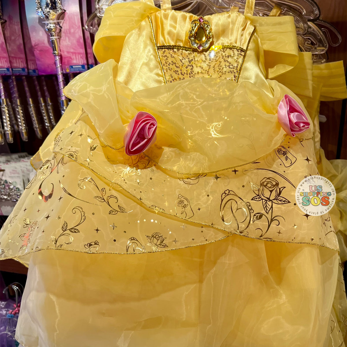 DLR/WDW - Disney Princess