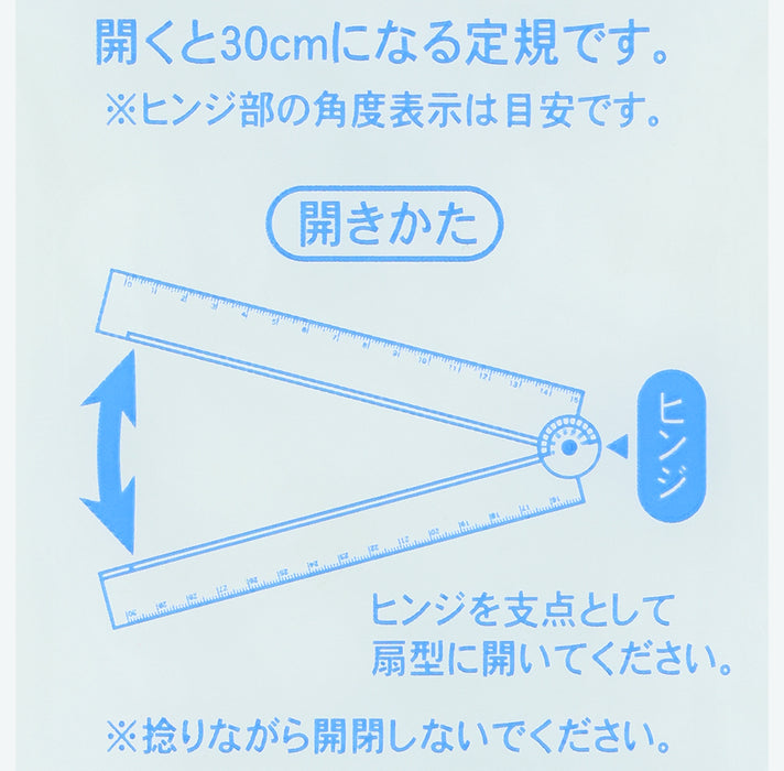 TDR - Tokyo Disney Resort "Disney Resort Line" x Ruler