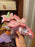 HKDL - 2026 Chip 'n' Dale Forest Fairies Collection x Chip ‘Flying’ Plush Toy