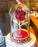 TDR - Tokyo Disneyland "Beauty and the Beast" Jewelry Box