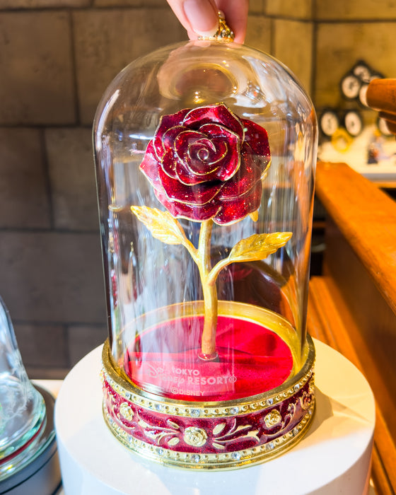 TDR - Tokyo Disneyland "Beauty and the Beast" Jewelry Box