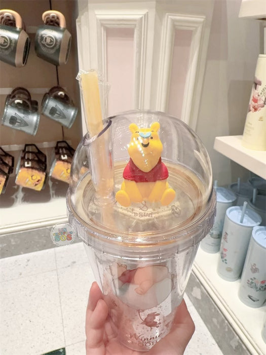 HKDL - Winnie the Pooh & Piglet with 3D Figure Double Wall Cold Cup