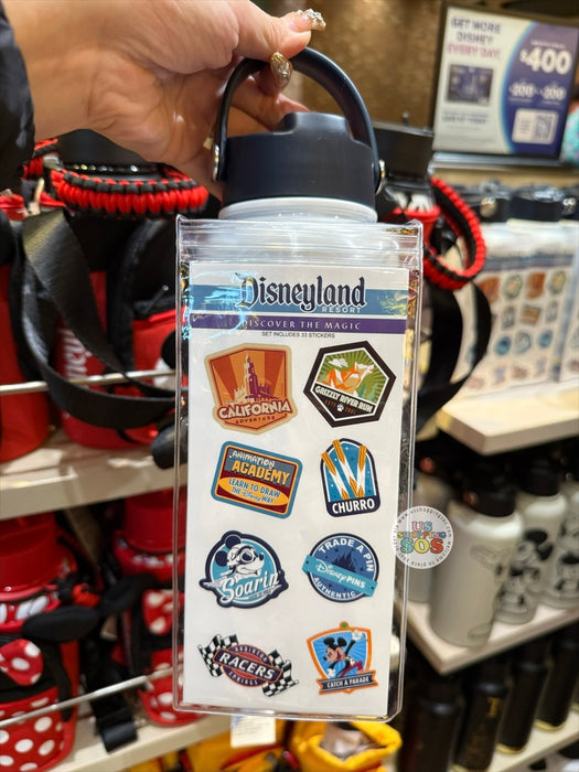 DLR/WDW - Park Logo & Icon Stickers Stainless Steel Water Bottle