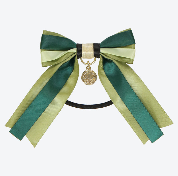 TDR - Fantasy Springs Anna & Elsa Frozen Journey Collection x Mystery Accessory Set Box Set