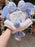 SHDL  - Big Head Plush Hat - Minnie Mouse (Color: Purple)