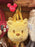 SHDL - 2026 Winnie the Pooh "Big Face" 2 Ways Bag