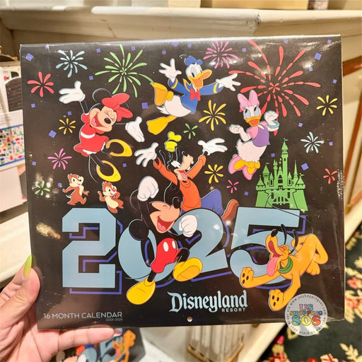 DLR - Disneyland 2025 - 16-Month Calendar