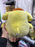 Universal Studios - Sanrio - Pompompurin Plush Toy