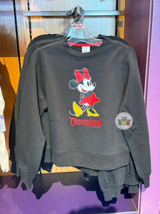 DLR/WDW - Classic Minnie Park Logo Black Pullover (Adult)