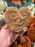 Jellycat - Amuseables Philippe Palmier Plush Toy
