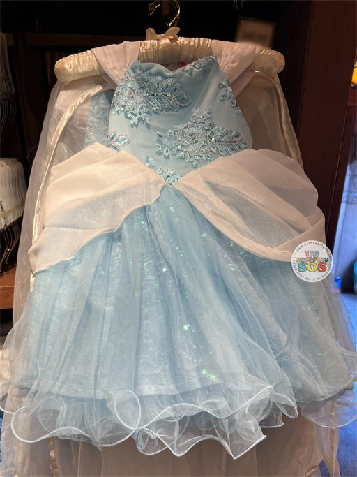DLR/WDW - Disney Princess - Cinderella Enchanted Costume Dress (Kid & Youth)