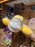 HKDL - 2026 Winnie the Pooh Winter Woolies x Ear Headband