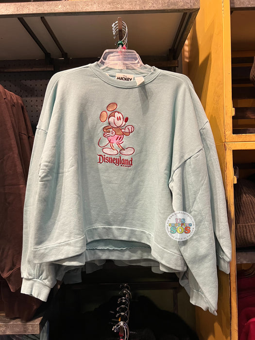 Mickey mouse with disneyland 2025 fleece sweatshirt for adults