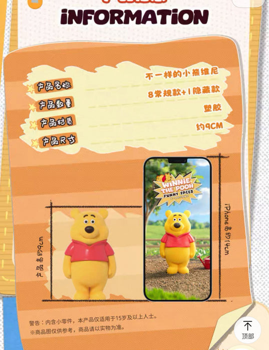 China Disney Collaboration - Winnie the Pooh Funny Faces Figure Blind Box x