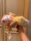 HKDL - 2026 Duffy's Sweet Dreams - Sleeping CookieAnn Plush Toy