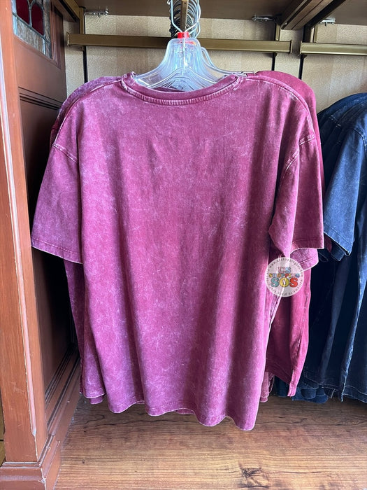 DLR/WDW - 2026 Walt Disney World 4-Park Icon Red Vintage Wash Tee (Adult)