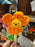 DLR/WDW - Winnie the Pooh 2026 - Pooh Plush Flower