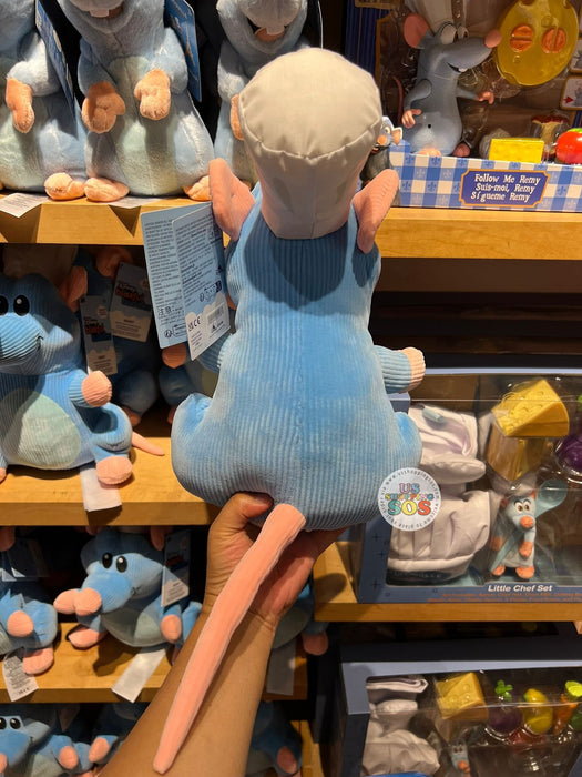 DLR/WDW - Disney Blissful Buddies - Ratatouille Remy Corduroy Plush Toy