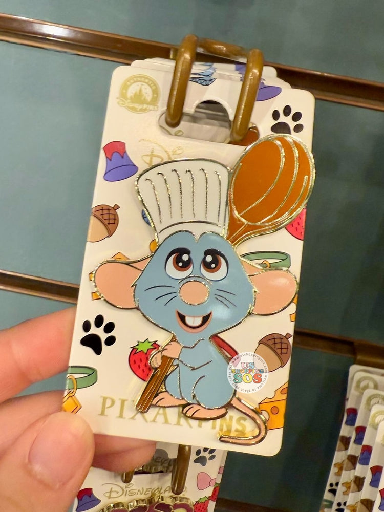 DLP - Remy Naif Pin