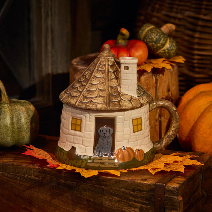 Harry Potter Japan Shop – 2026  Hagrid's Hut Collection Collection x Mug