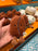 Jellycat - Amuseables Coffee Bean Plush Toy