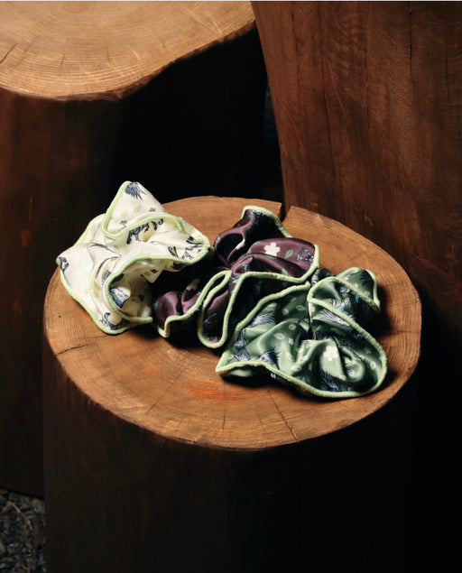 Harry Potter Shop Harajuku Exclusive x 2026 Buckbeak Collection - Hair Accessories Set of 3