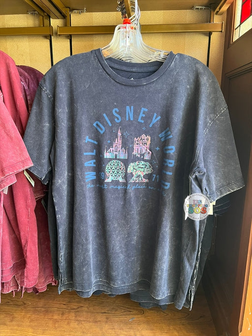 DLR/WDW - 2026 Walt Disney World 4-Park Icon Dark Grey Vintage Wash Tee (Adult)
