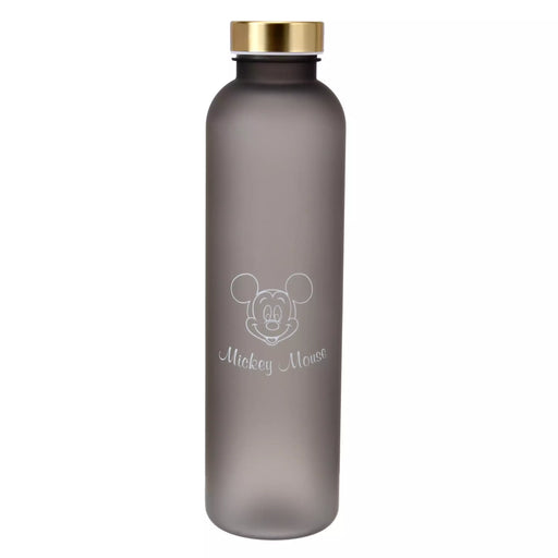 JDS - Drinkware x Mickey Mouse Frost Water Bottle